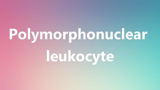 Polymorphonuclear leukocyte  Medical Meaning and Pronunciation [upl. by Oberheim136]