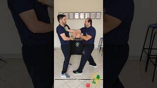 Fragmentos do Ving Tsun Wing Chun  33 vingtsun martialarts wingchun kungfu vingtsunkungfu [upl. by Akemej299]