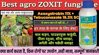 Zoxit fungicide best agro zoxit fungicide Azoxistrobin 11  Tebuconazole 183SC best fungicide [upl. by Misha]