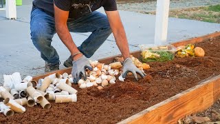 7 Things You Can Bury in the Garden to Add FREE Nutrients [upl. by Sherwynd]