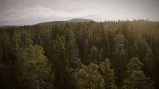 Ersättningsmark för skydd av natur [upl. by Elyod]