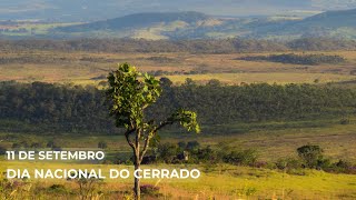 Dia Nacional do Cerrado [upl. by Ettelocin940]