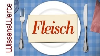 WissensWerte Fleisch und Nachhaltigkeit [upl. by Nnahtebazile823]