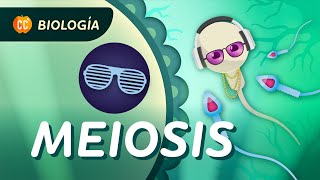 Meiosis ¿Cómo se hacen las células sexuales Crash Course Biología 30 [upl. by Emma49]