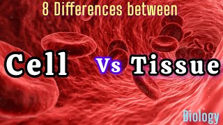 Cell vs Tissue Difference Between [upl. by Alene]