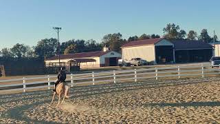 2023 show 5 Campbell novice Youth Equitation Over Fences [upl. by Serena42]