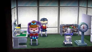 Animal Crossing Happy Home Designer  Decorating the Hospital [upl. by Gnuy]