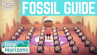 COMPLETE FOSSIL GUIDE with WALKTHROUGH Animal Crossing New Horizons [upl. by Portie138]