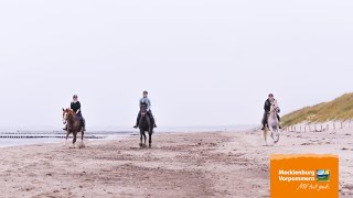 Reiterferien und Reiturlaub  vom Reiten auf dem Lande bis zum Strandreiten an der Ostsee [upl. by Leifeste]