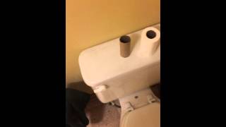 My toilet makes the weirdest noise when I flush it [upl. by Arhna]