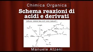 Reazioni degli acidi e derivati in 5 minuti Riepilogo [upl. by Dnomzed987]