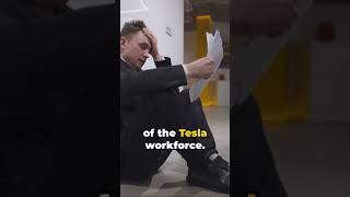 Tesla Layoffs The Unseen Story [upl. by Nnaasil196]