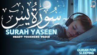 Beautiful Recitation of Surah Yaseen سورة يس  Relaxing Heart Touching Voice Lofi Quran At Night [upl. by Odlabso]