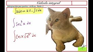 INTEGRACIÓN POR PARTES CÍCLICA Parte 2 [upl. by Yssej]