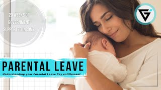 Parental Leave Pay Explained [upl. by Elocim]