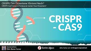 CRISPR Gen Düzenleme Yöntemi Nedir [upl. by Eignav530]