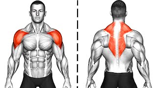 The Best Shoulder and Back Exercises At Home [upl. by Gusty]