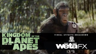 KINGDOM OF THE PLANET OF THE APES  Playing Favourites by Weta FX [upl. by Rettuc677]