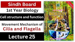 movement mechanism of cilia and flagella  Cell structure and function  class 11 biology Sindh [upl. by Damaris975]