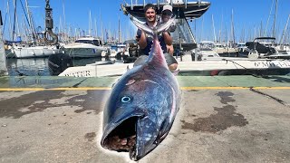 Angler fangen MONSTERFISCH in MITTELMEER 🤯 CatchCleanCook [upl. by Acirret]