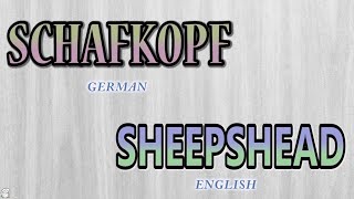 Schafkopf  Sheepshead  How to Play  Episode 1  Game Overview Intro [upl. by Lleunamme]