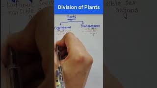 Division of Plants  Classification of Plant Kingdom [upl. by Lennod]