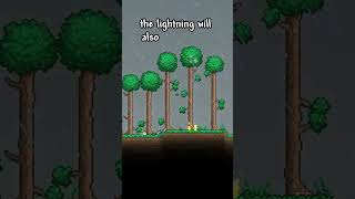 TERRARIA 145 UPDATE NEWS [upl. by Bree]