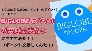 BIGLOBEからキャンペーンの20000ポイント入ったので、BIGLOBEモバイル利用料金に当ててみた！！ [upl. by Zebe]