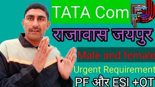 टाटा कंपनी जयपुर राजावास में वैकेंसी  TATA COMPANY JOB  TATA JOB  Jaipur job parmjhunjhunu [upl. by Ettezel]