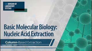 Basic Molecular Biology Nucleic Acid Extraction – ColumnBased Extraction [upl. by Chilcote]