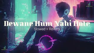 Deewane Hum Nahi Hote  Slowed and Reverb  LoFi Version  Aditya Yadav  Magicall Musix [upl. by Alburg]