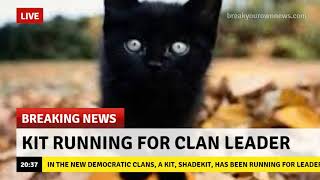 Funny Warrior Cat Memes 3 [upl. by Seed996]