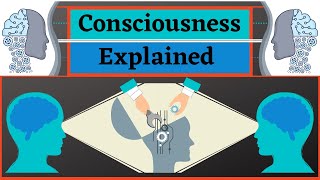 What is Consciousness  Faculties of the Mind [upl. by Korff167]