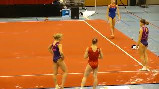 Aliya Mustafina FX PT 2010 Waalwijk [upl. by Eillim]