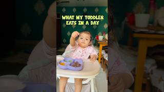 What my Toddler Eats in a Day 🌮 shorts [upl. by Francyne]