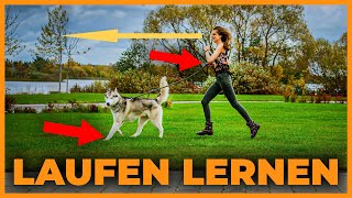 So lauft ihr einen Marathon mit Hund [upl. by Paulette]