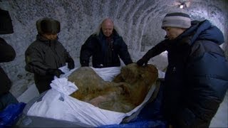 The Perfectly Preserved Frozen Yuka Mammoth Mummy  Woolly Mammoth Secrets from the Ice  BBC Two [upl. by Ethelred]