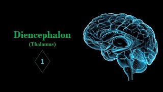 Introduction of diencephalon and thalamus Prof Ashfaqur Rahman [upl. by Akenor]