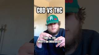 THC VS CBD EXPLAINED shorts subscribe fypシ゚viral [upl. by Ortrud498]