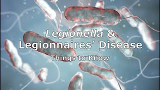 Legionella and Legionnaires Disease  Things to Know [upl. by Winthorpe]