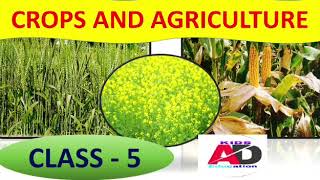 Class 5  crops and agriculture cbse ncert [upl. by Ettenahs944]