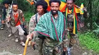 ሰበር ዜና  ፋኖ ባህርዳርን ተቆጣጠረ  ፋኖ ድል አሰማ  Ethio 360  Dere news mesay  ethiopian news august 152024 [upl. by Sarson85]