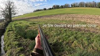 Chasse au Gros Gibier  Magnifique  20232024 [upl. by Colyer]