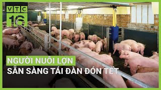 Giá lợn hơi tăng cao người chăn nuôi tái đàn đón Tết  VTC16 [upl. by Lewiss]