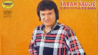 Saban Saulic  Srno moja malena  Audio 1994 [upl. by Noryv]