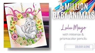 Colour Along  A Million Baby Animals by Lulu Mayo [upl. by Asilef]