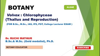 Volvox Thallus Structure and Reproduction  BSc I yearMSc Botany [upl. by Frasco]