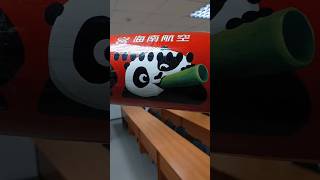 Boeing 787 Dreamliner disney kungfupanda plane museum обзор hobby diy music boing737 song [upl. by Oab806]