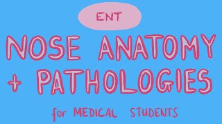 ENT  Nose Anatomy  Pathologies for Medical Students [upl. by Aihsyak136]