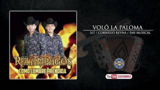 Los Nuevos Relampagos  Volo la Paloma  Audio Oficial [upl. by Ymmor515]